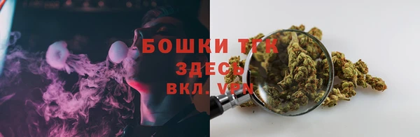 ПСИЛОЦИБИНОВЫЕ ГРИБЫ Алзамай