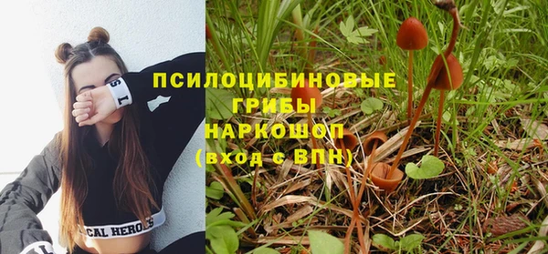 ПСИЛОЦИБИНОВЫЕ ГРИБЫ Алзамай