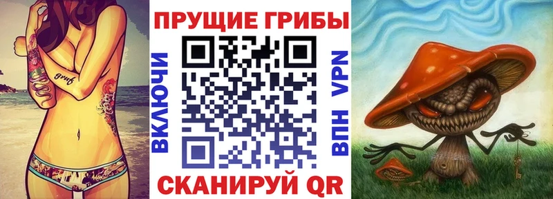 mega зеркало  Александровск  Псилоцибиновые грибы мицелий 